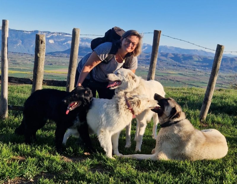 Thorgal - Montagne des Pyrénées à Colombe